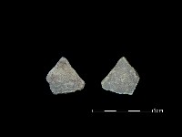 藏品(陶片)的圖片