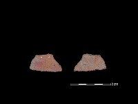 藏品(陶片)的圖片