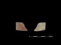 藏品(陶片)的圖片