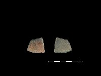 藏品(陶片)的圖片