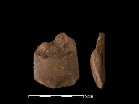 藏品(錛鑿形器)的圖片