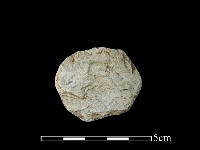 藏品(玉材)的圖片