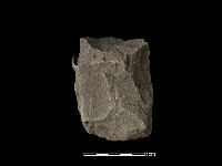 藏品(斧鋤形器)的圖片