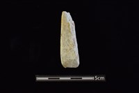 藏品(錛鑿形器)的圖片