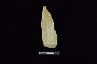 藏品(錛鑿形器)的圖片