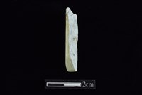 藏品(錛鑿形器)的圖片