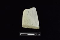 藏品(錛鑿形器)的圖片