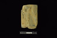 藏品(錛鑿形器)的圖片