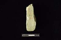 藏品(錛鑿形器)的圖片