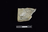 藏品(錛鑿形器)的圖片