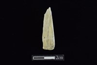 藏品(錛鑿形器)的圖片