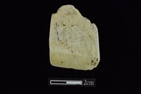 藏品(錛鑿形器)的圖片