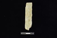 藏品(錛鑿形器)的圖片