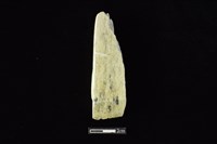 藏品(錛鑿形器)的圖片