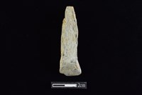 藏品(錛鑿形器)的圖片