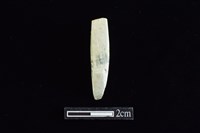 藏品(錛鑿形器)的圖片