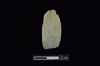 藏品(錛鑿形器)的圖片