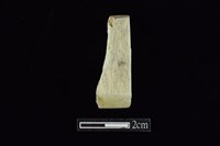 藏品(錛鑿形器)的圖片