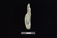 藏品(錛鑿形器)的圖片