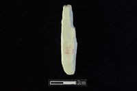 藏品(錛鑿形器)的圖片