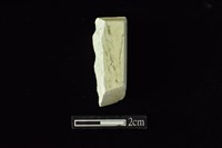 藏品(錛鑿形器)的圖片