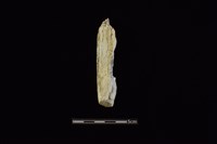 藏品(錛鑿形器)的圖片