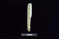 藏品(錛鑿形器)的圖片