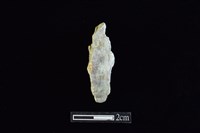 藏品(錛鑿形器)的圖片