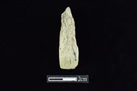 藏品(錛鑿形器)的圖片