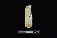 藏品(錛鑿形器)的圖片