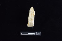 藏品(錛鑿形器)的圖片