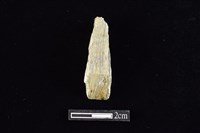 藏品(錛鑿形器)的圖片