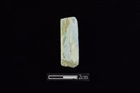 藏品(錛鑿形器)的圖片