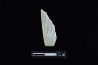 藏品(錛鑿形器)的圖片