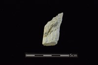 藏品(錛鑿形器)的圖片