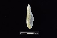 藏品(錛鑿形器)的圖片