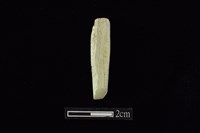 藏品(錛鑿形器)的圖片