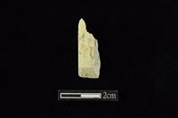 藏品(錛鑿形器)的圖片