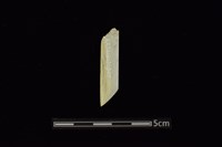 藏品(錛鑿形器)的圖片