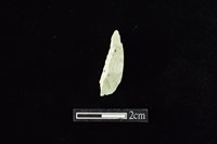 藏品(錛鑿形器)的圖片