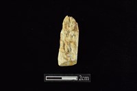 藏品(錛鑿形器)的圖片