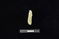 藏品(錛鑿形器)的圖片