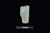 藏品(錛鑿形器)的圖片