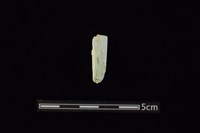 藏品(錛鑿形器)的圖片