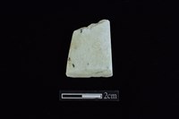 藏品(錛鑿形器)的圖片