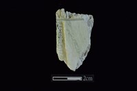 藏品(錛鑿形器)的圖片