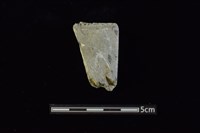 藏品(錛鑿形器)的圖片