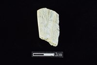 藏品(錛鑿形器)的圖片