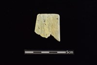 藏品(錛鑿形器)的圖片