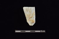 藏品(錛鑿形器)的圖片